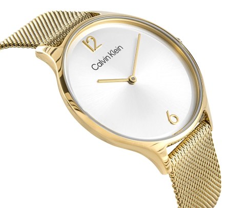 Zegarek Damski Calvin Klein Timeless Mesh Gold 25200003