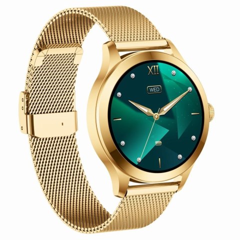 Smartwatch Gravity GT25-2 PRO Biało-Złoty 2 paski