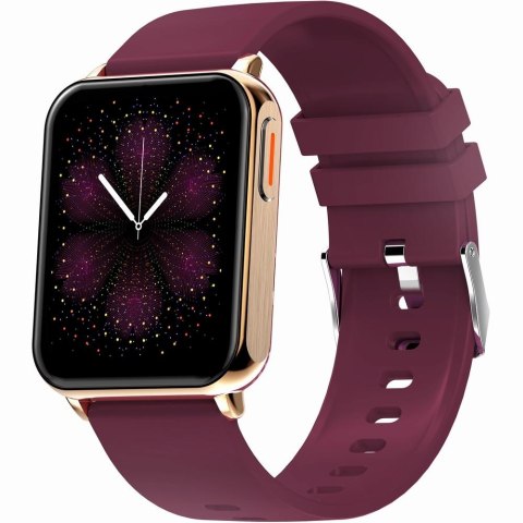 Smartwatch Gravity GT17-6 Różowe Złoto z 2 Paskami