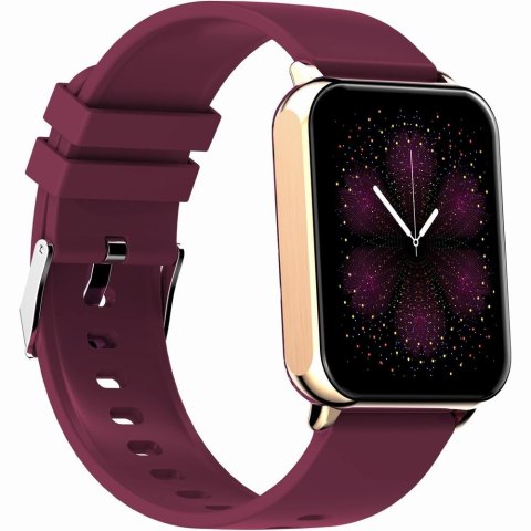 Smartwatch Gravity GT17-6 Różowe Złoto z 2 Paskami
